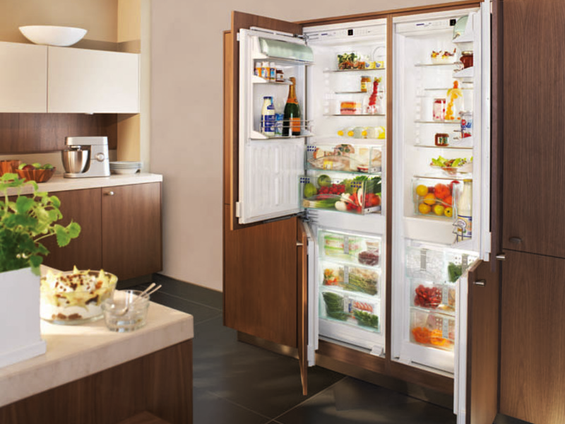 Двухдверный холодильник встроенный