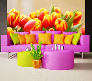 Разноцветные тюльпаны на фотообоях